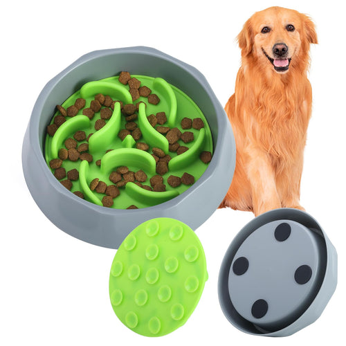 2-in-1 Slow Feeder Dog Bowl – Prevent Fast Eating 🐶